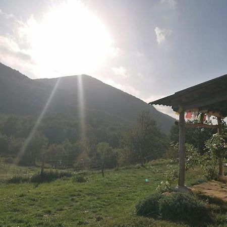 Bright Loft With Mountain And Nature View Sougraigne Exterior foto