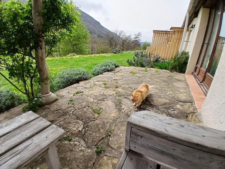 Bright Loft With Mountain And Nature View Sougraigne Exterior foto
